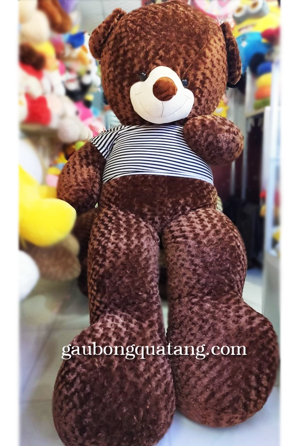 GAU-BONG-TEDDY-1M8-TP.HCM_1